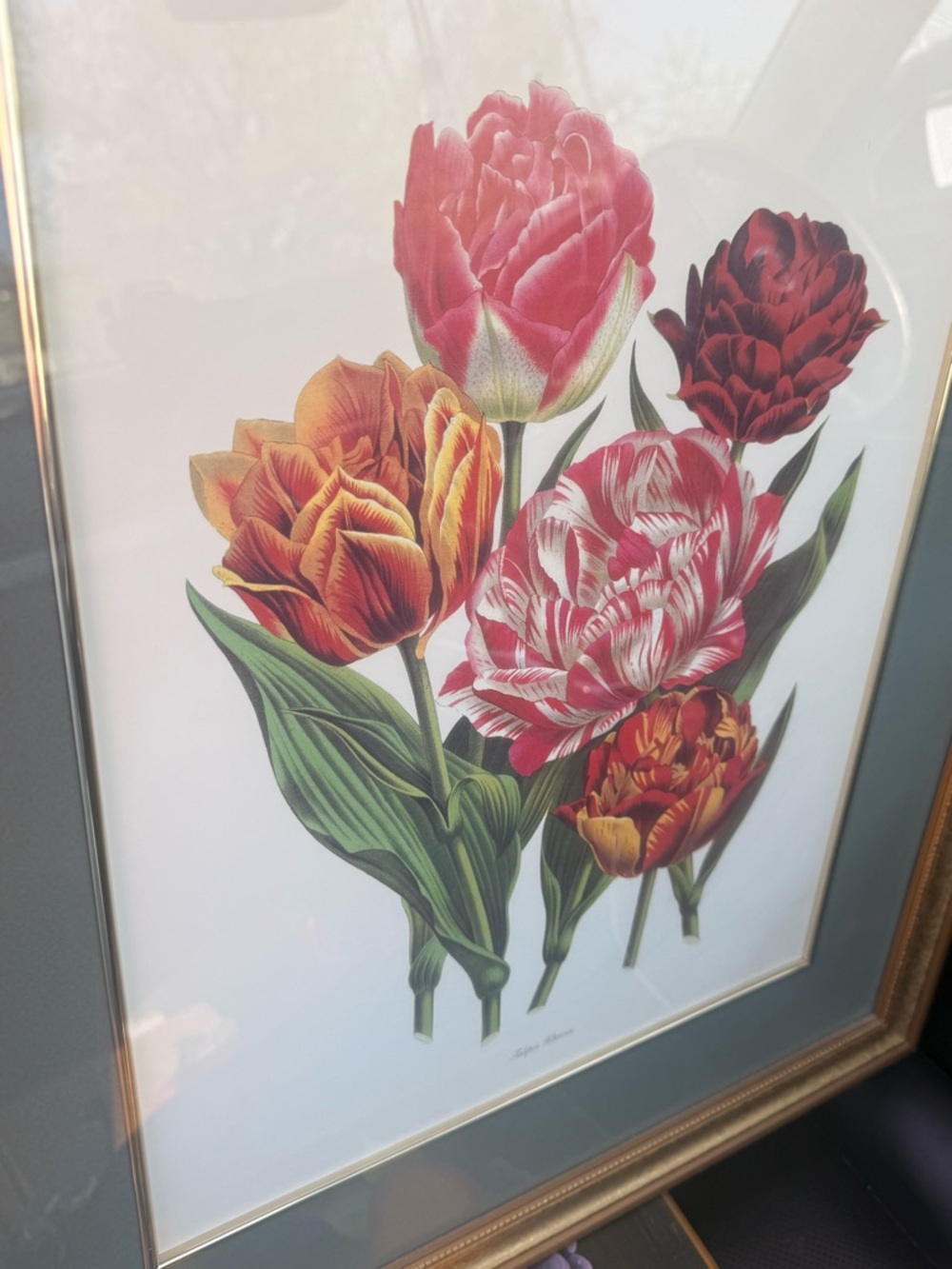 Botanical Tulip Print - Framed Floral Art in Pink, Red, Orange, Green